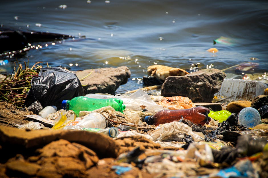 Avoid hidden rubbish removal charges in Richmond